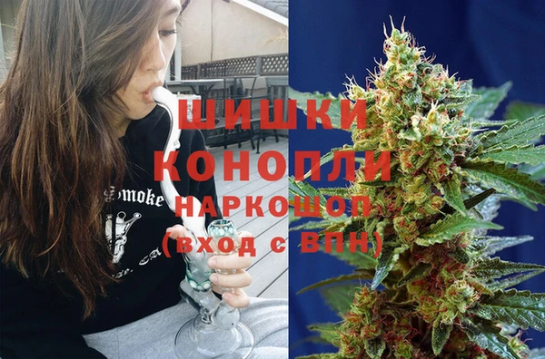 тгк Абаза
