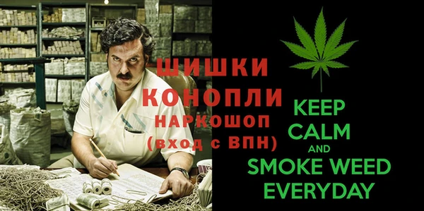 тгк Абаза