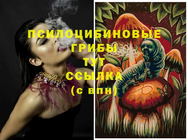 спайс Абинск